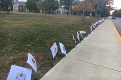 A row of white laminated signs with names and faces leads into the distance along the sidewalk next to a field.