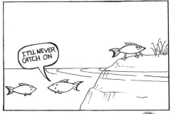 Fish on Land (Cartoon by Sarah Hennessey)