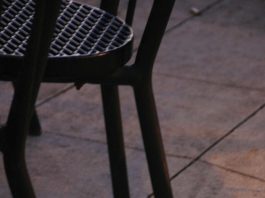 New program aims to curb stray cats