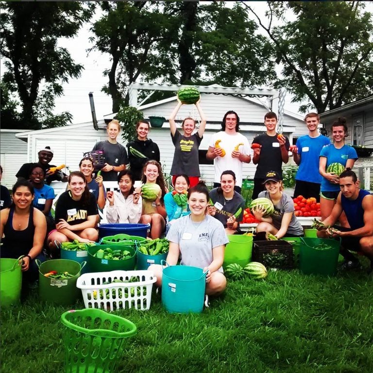 Campus Farm provides produce and opportunities for students