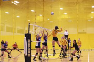 Sophomore, Suzanne Peters, attacks the ball to help the Tiger’s win their set. DAVID KOBE / THE DEPAUW