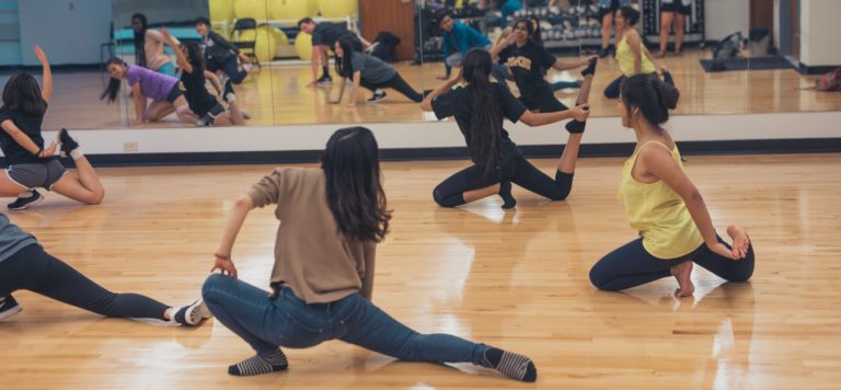 Wamidan brings new cultures to DePauw through music and dance