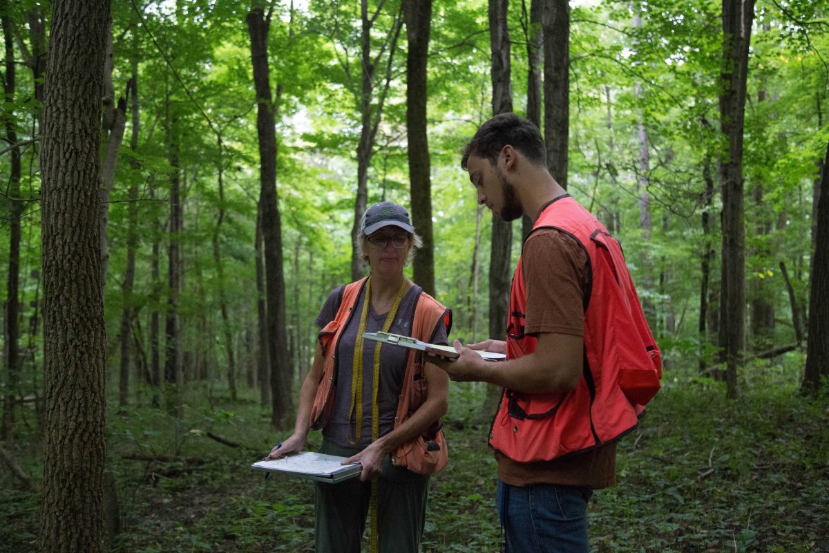 Exploring the DePauw Nature Park