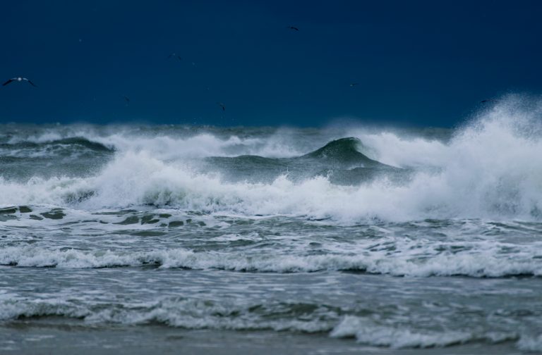 DePauw Student Has a Direct Connection to Deadly Hurricane Florence