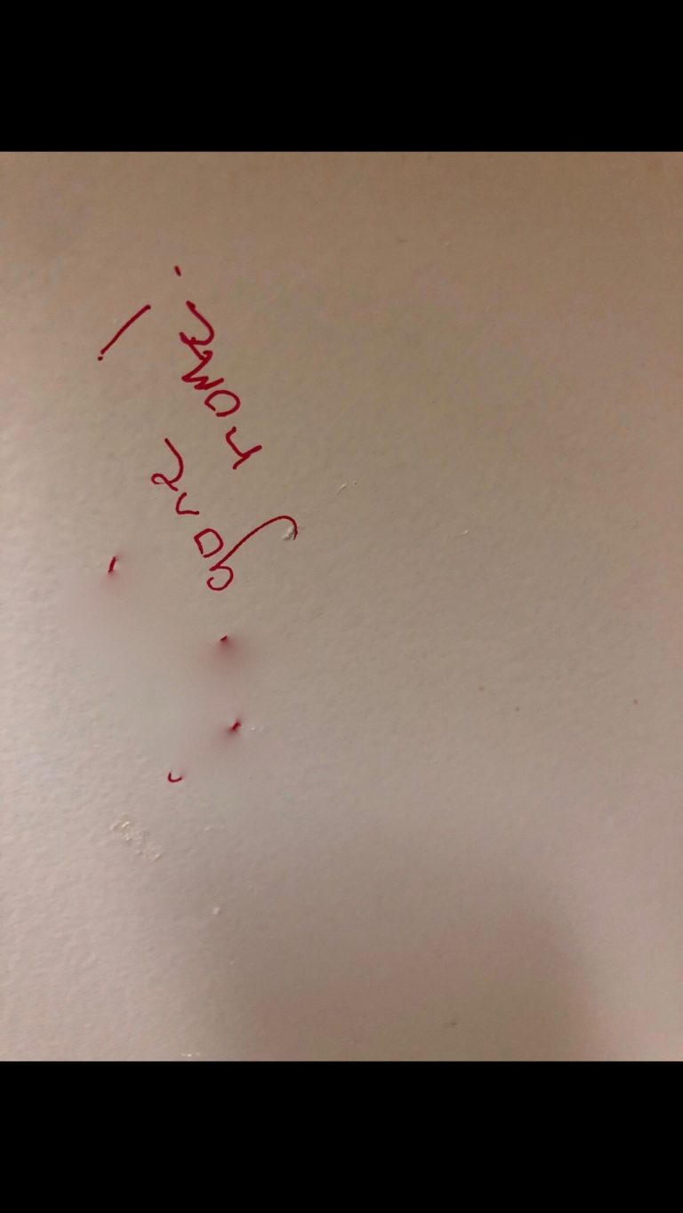 Racist Graffiti Found in Hogate Hall