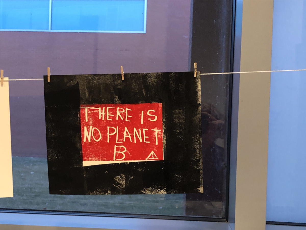Activism Through Art: The Work of Martha Opdahl