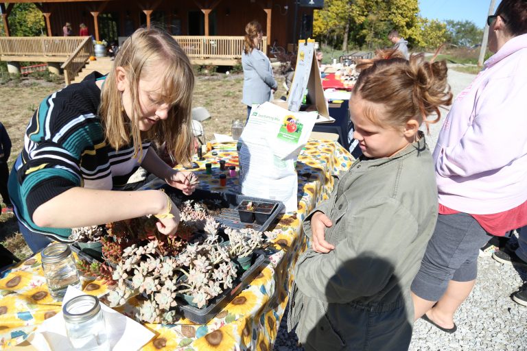 Ullem Campus Farm Hosts Harvest Festival