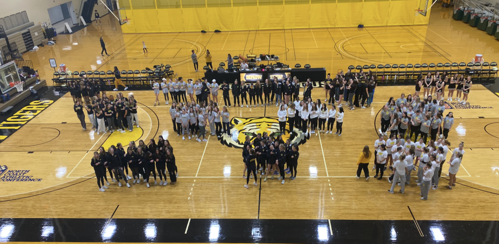 National Girls And Women In Sports Day 2024 The DePauw   Screen Shot 2024 02 14 At 10.40.31 AM 1024x500 