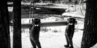 Hundreds of Beavers: The Weirdest Film Screening Ever