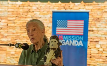 What can we take from Dr. Jane Goodall’s Final Message