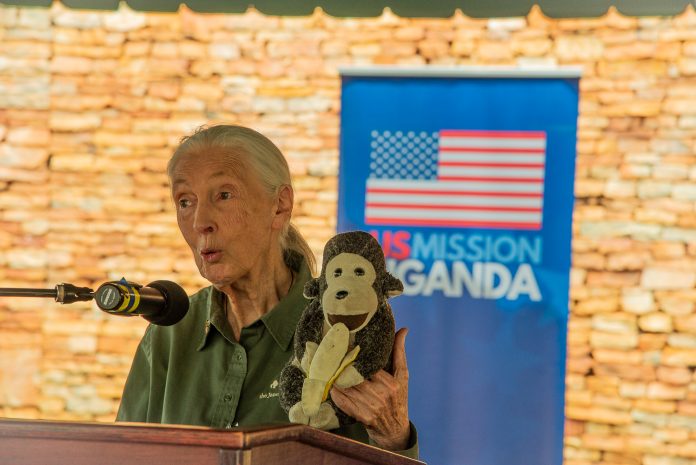 Jane_Goodall_visits_United_States_Mission_Uganda_on_4_April_2022_-_8