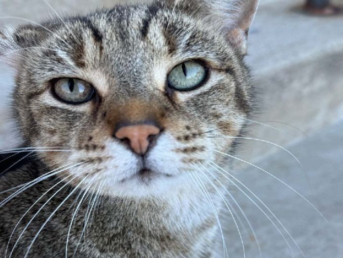 Nefi. Photo courtesy of Esmeralda Aguilar '28