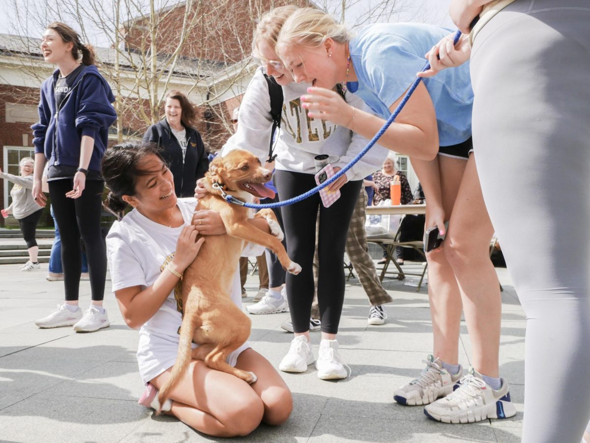 Students play with their furry visitors during the Paws & Peers event of DePauw Counselling Services at Stewart Plaza in Greencastle, Ind. on Thursday, April 2. (Photo credit: Ira Satpathy '28)